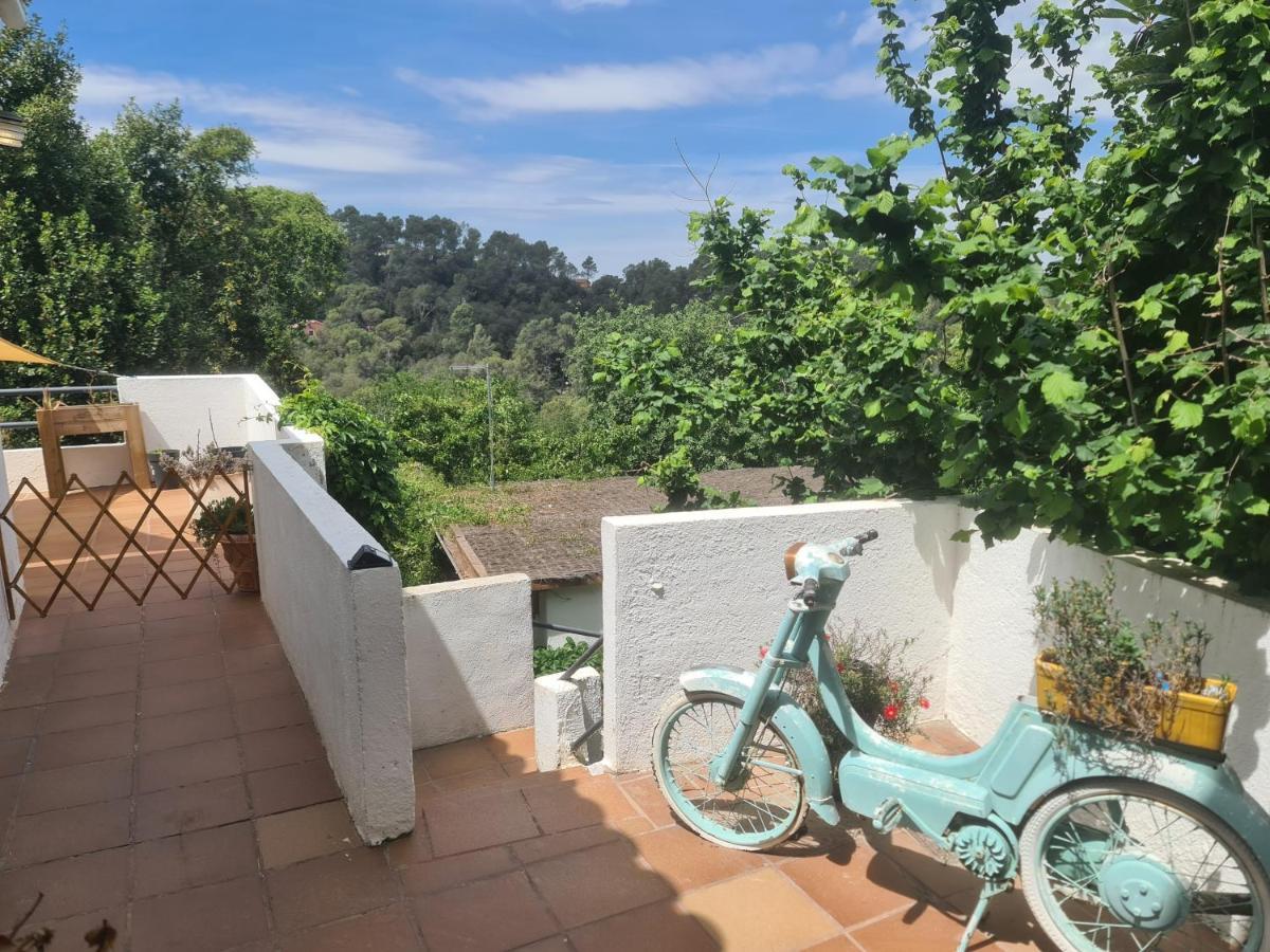 Nature Oasis Near Barcelona With Swimming Pool Parties Not Allowed Sant Cugat del Valles Exterior photo
